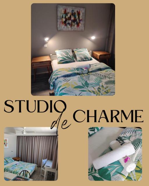 Joli Studio Cocooning & Discret, A 2Mns De La 4 Voies La Possession Εξωτερικό φωτογραφία